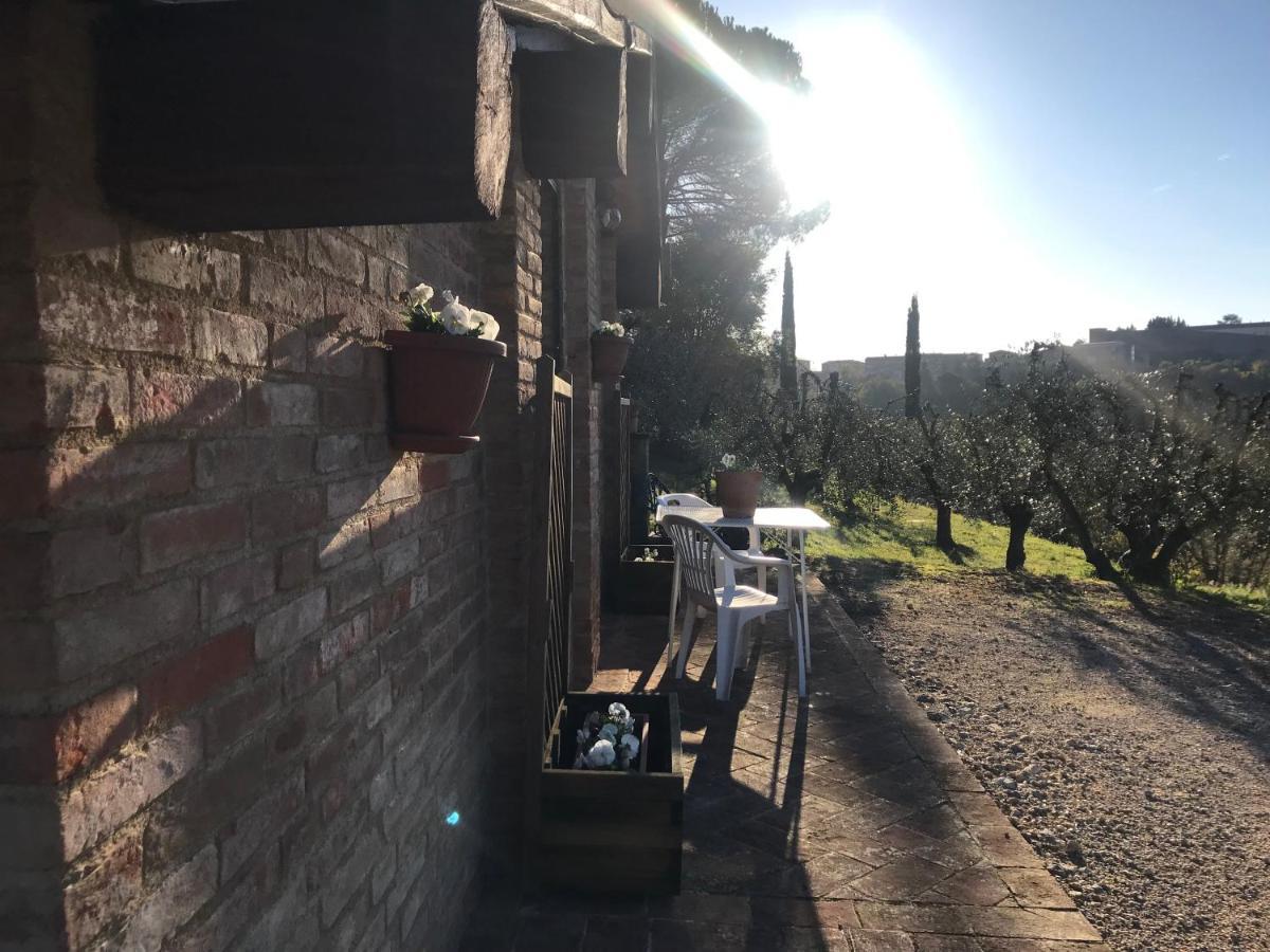 Apartamento La Perla Tra Gli Ulivi Siena Exterior foto
