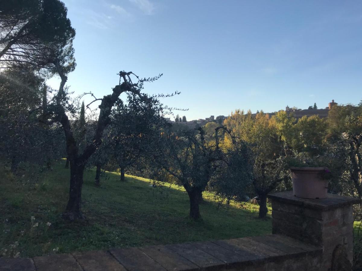 Apartamento La Perla Tra Gli Ulivi Siena Exterior foto