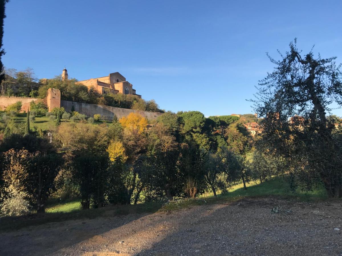 Apartamento La Perla Tra Gli Ulivi Siena Exterior foto